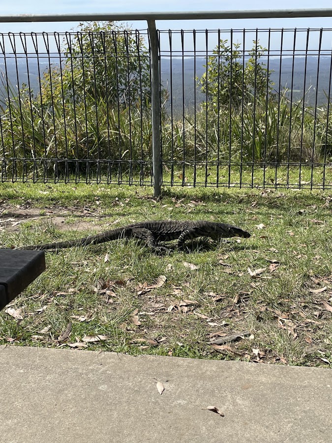 Heaton Lookout
