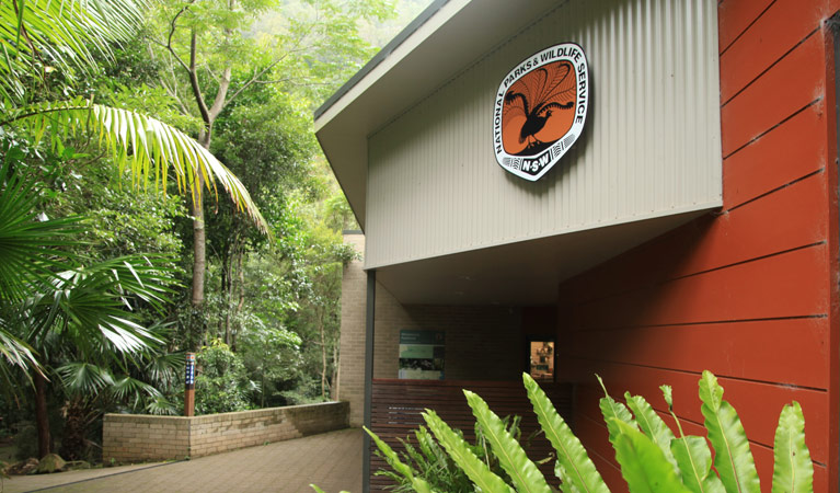Lower Minnamurra Falls