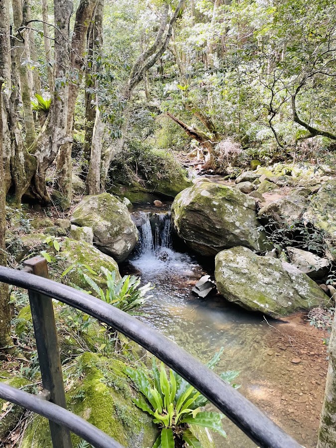 Lower Minnamurra Falls