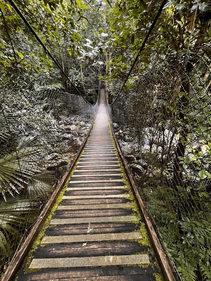 Lower Minnamurra Falls