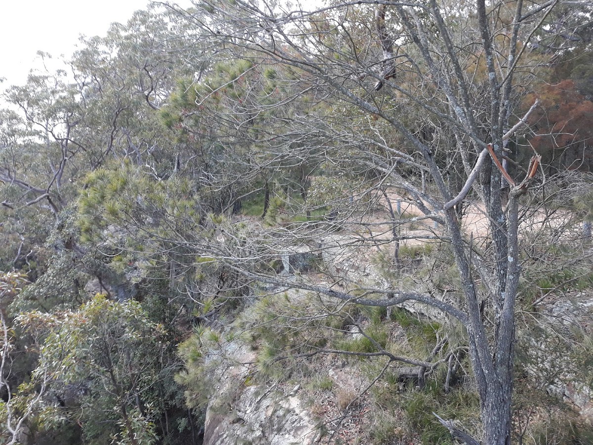 Gap Creek Lookout