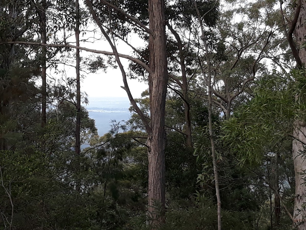 Gap Creek Lookout