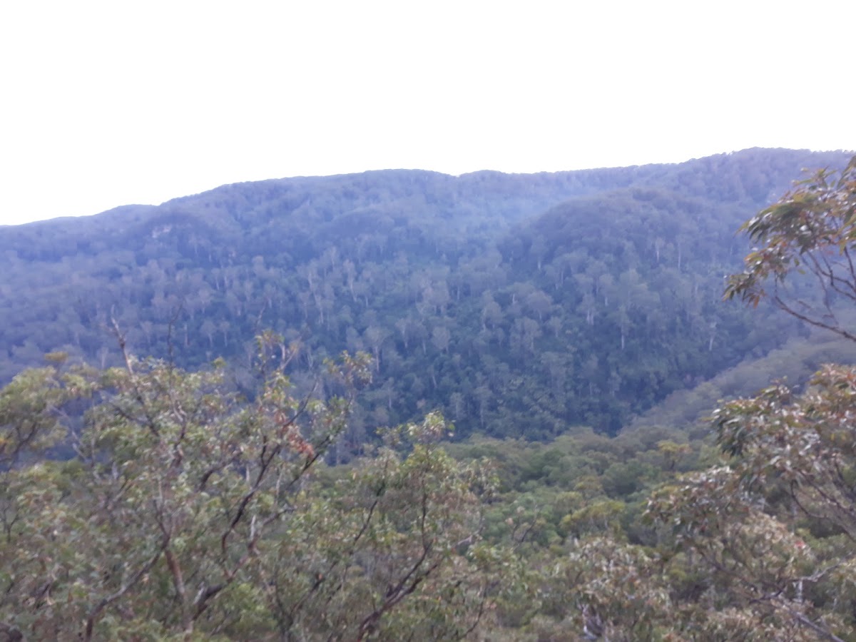Gap Creek Lookout