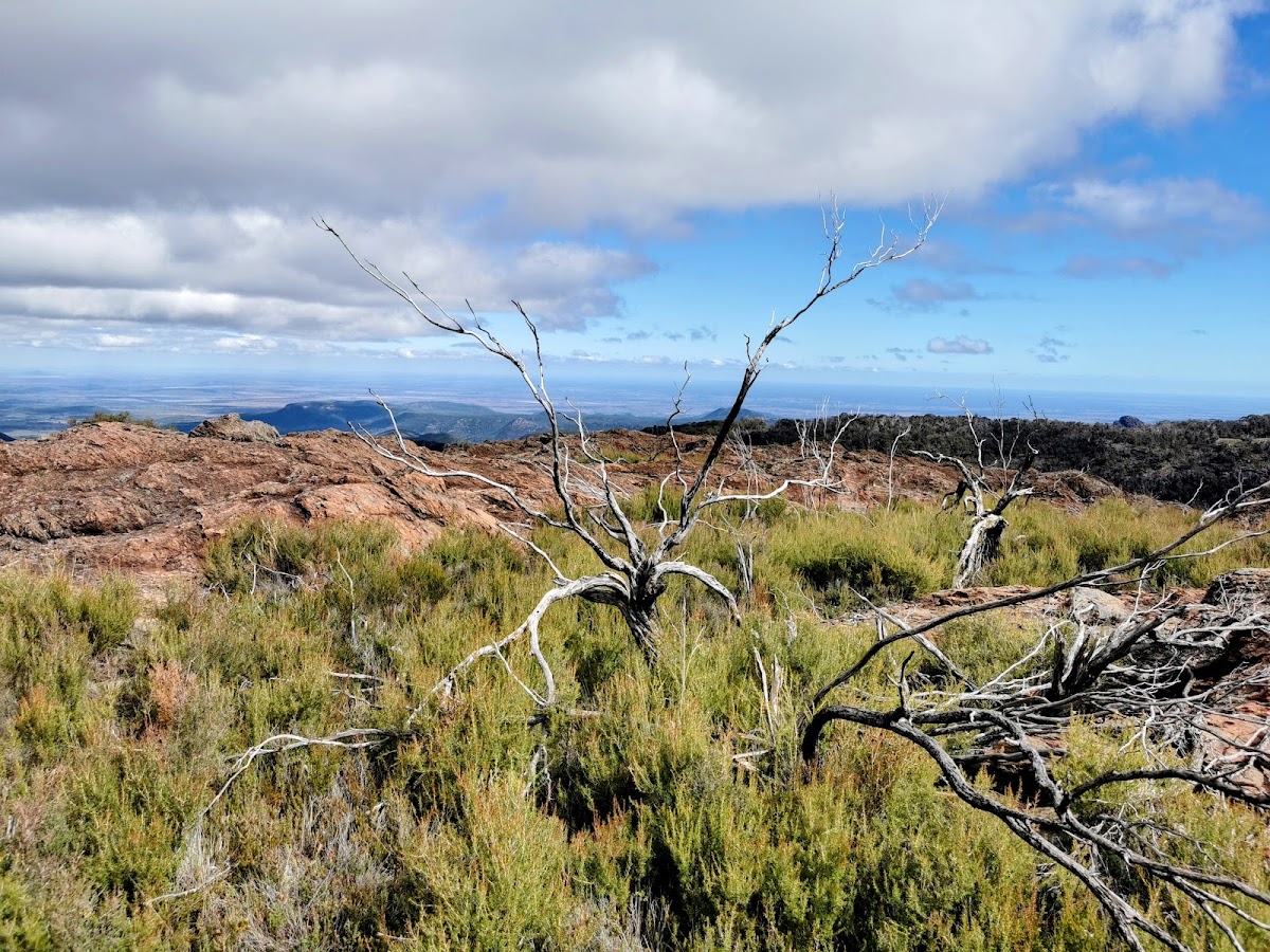 Bundabulla Lookout
