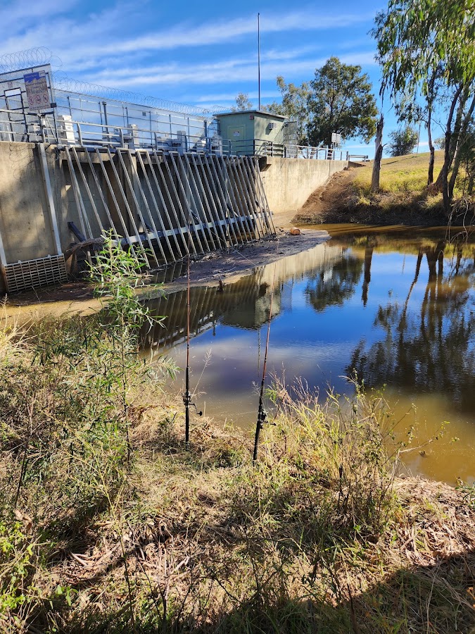 Tareelaroi Weir Flats
