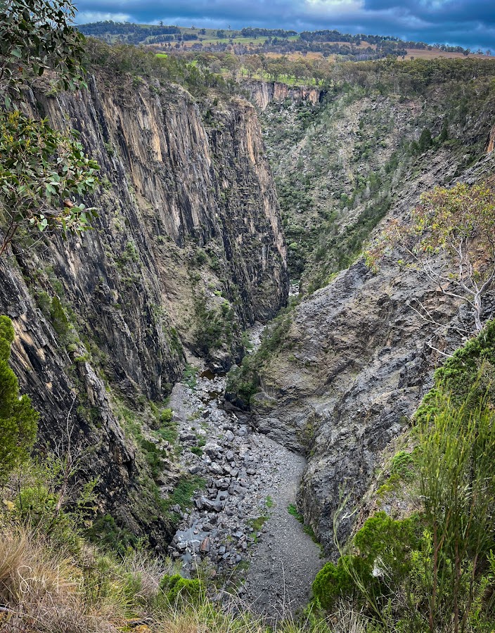 Lions Lookout