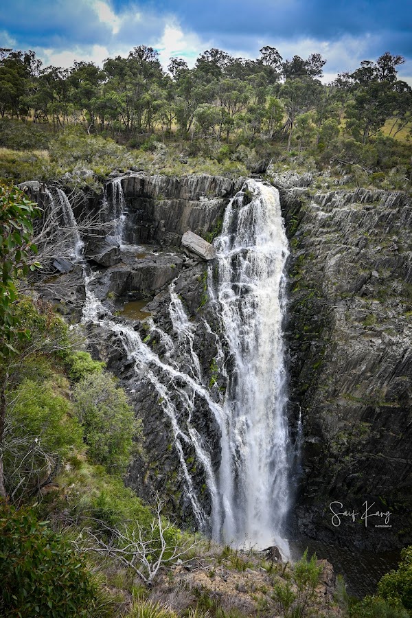 Lions Lookout