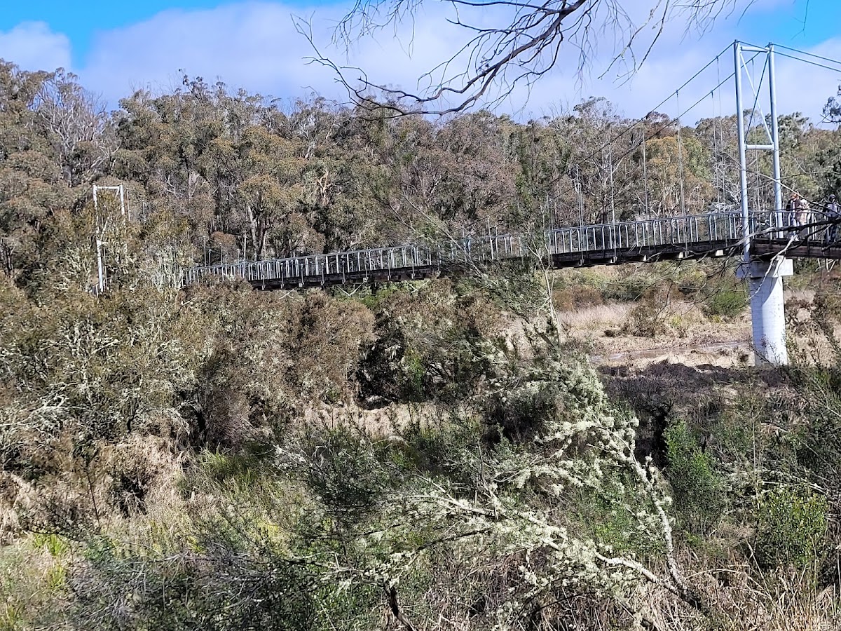 Lions Lookout