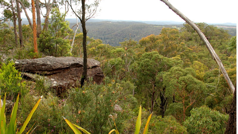 Popran National Park