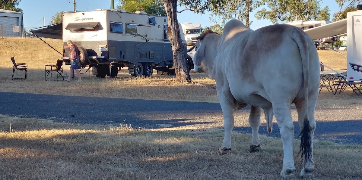 Sapphire 48Hr Camping Reserve