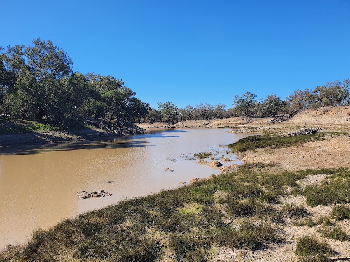 Toorale National Park