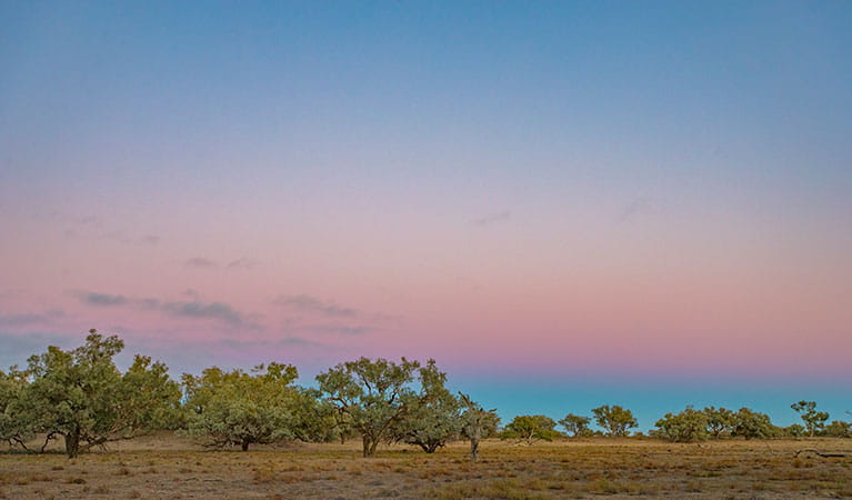 Toorale National Park