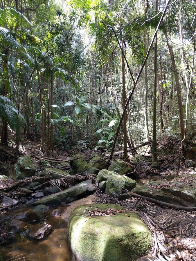 Palm Grove camping area