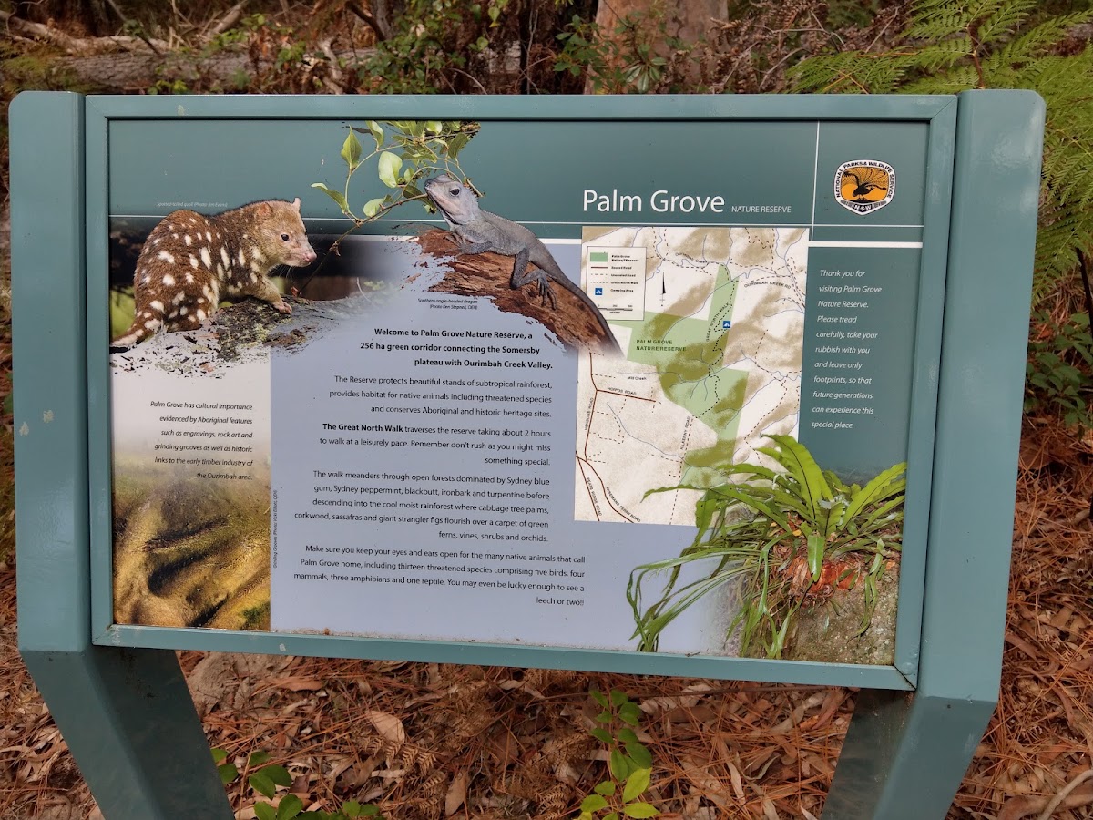Palm Grove camping area