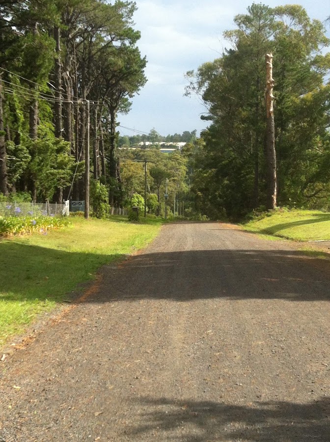 Palm Grove camping area