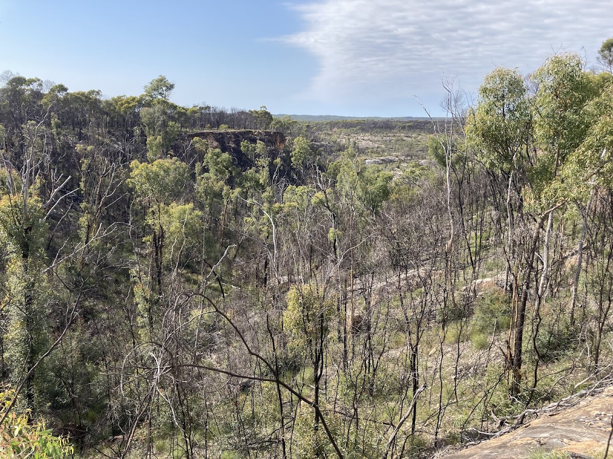 Sawpit Gorge Lookout