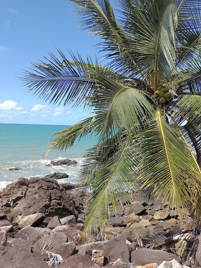 Narragon Beach