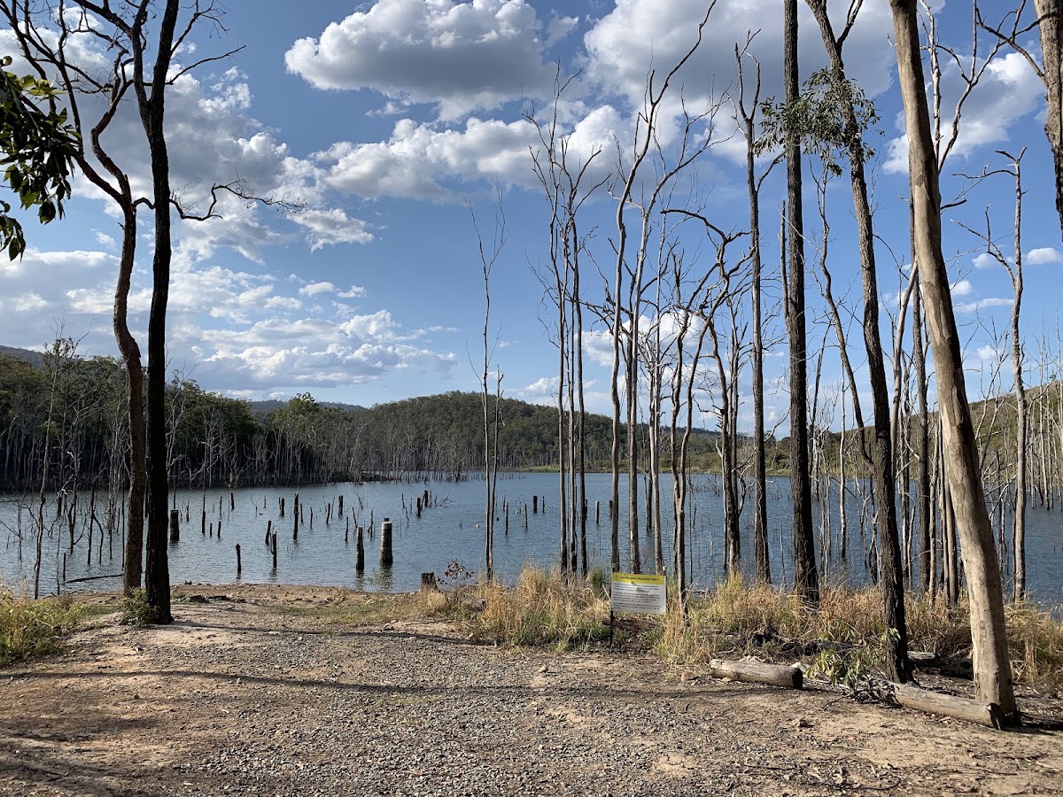 Numninbah Valley Scouts Camp