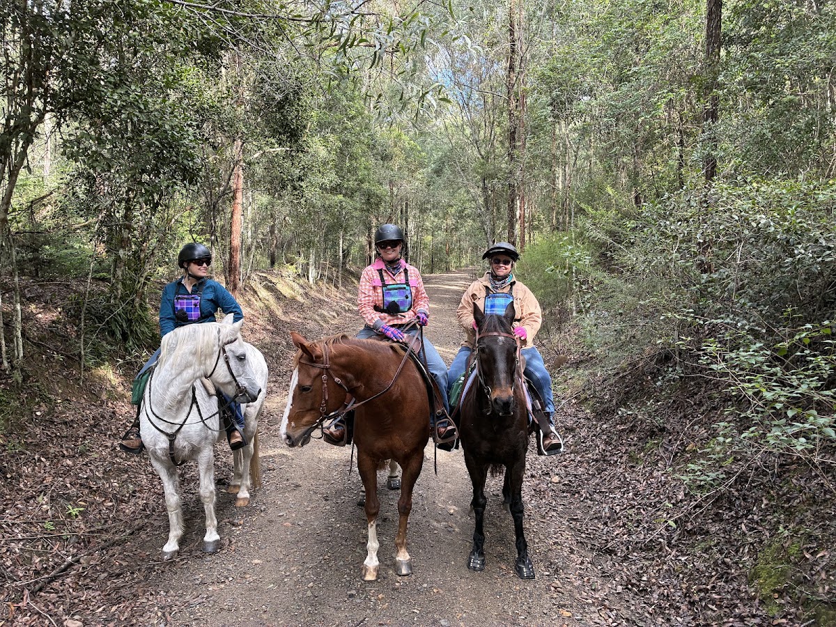 Blackbutt Showgrounds