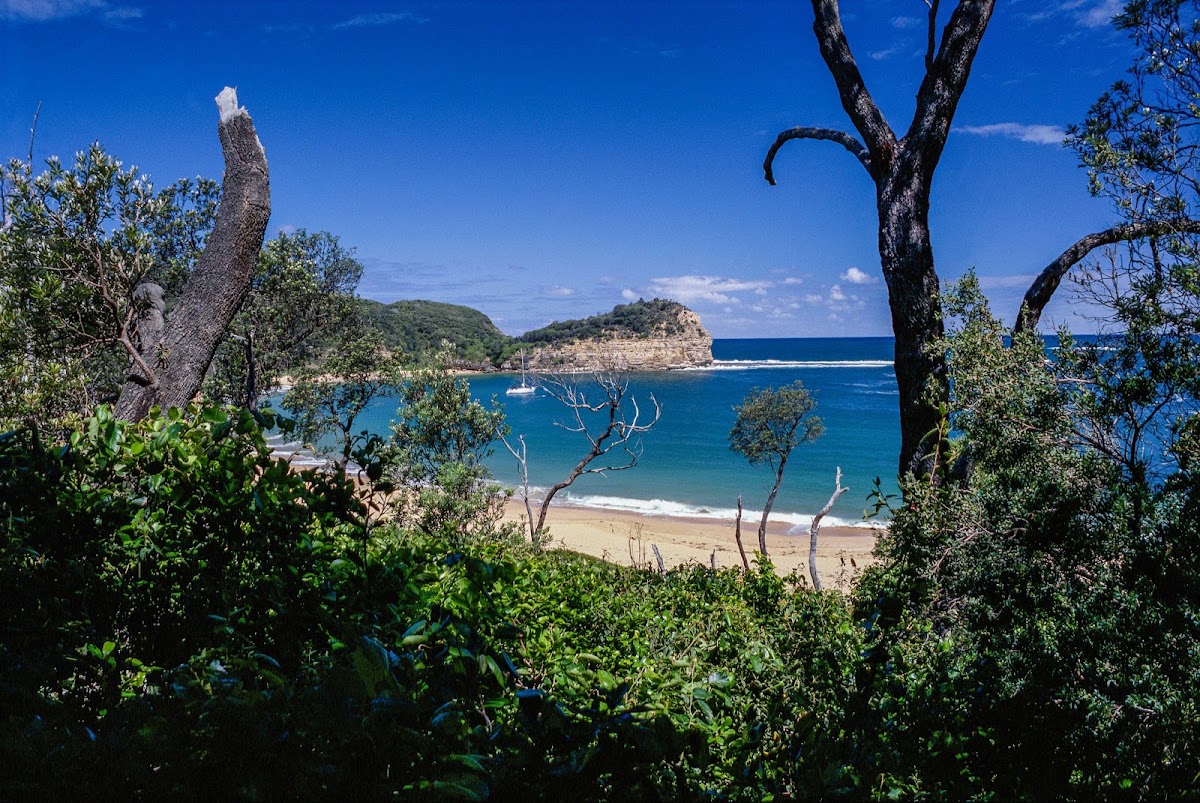 Bouddi National Park