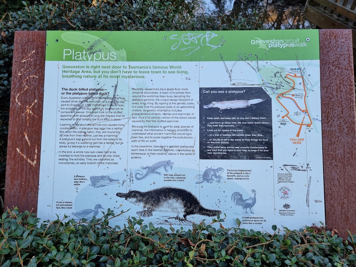 Platypus Platform