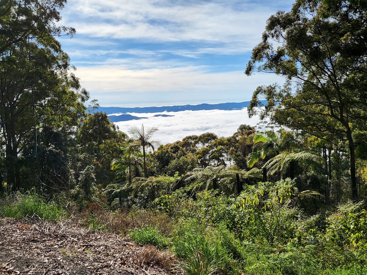 Hills Lookout