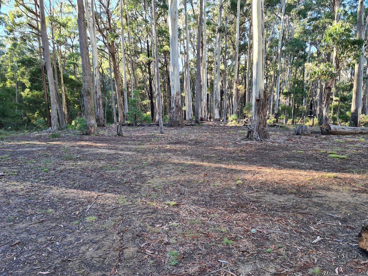 Camphora Campsite