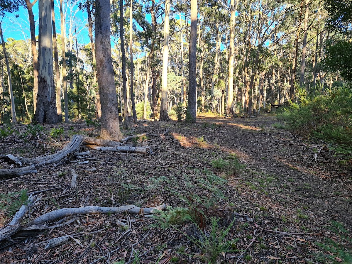 Camphora Campsite