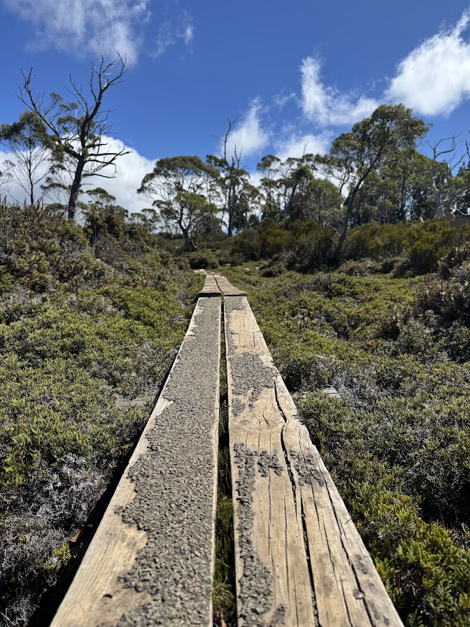 Walls of Jerusalem National Park