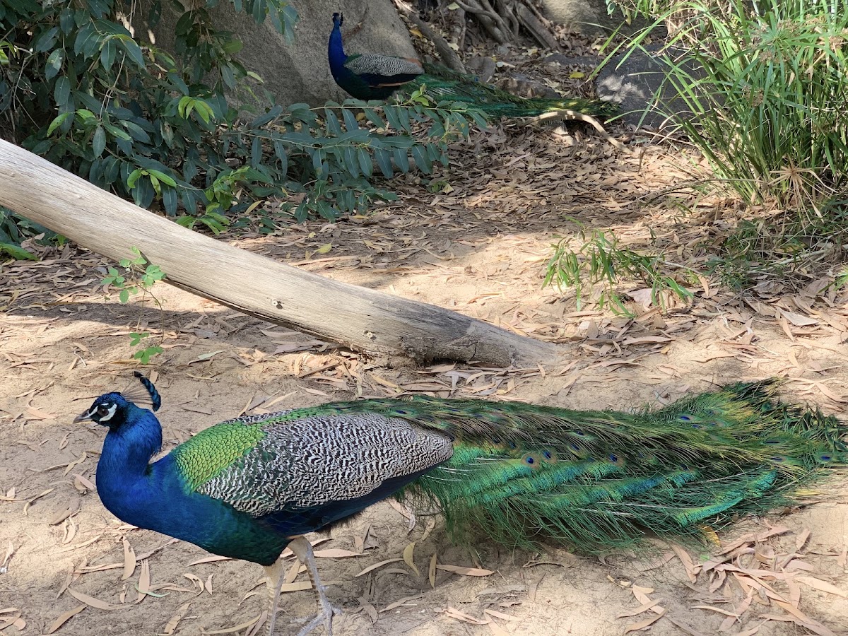 Granite Gorge Nature Park