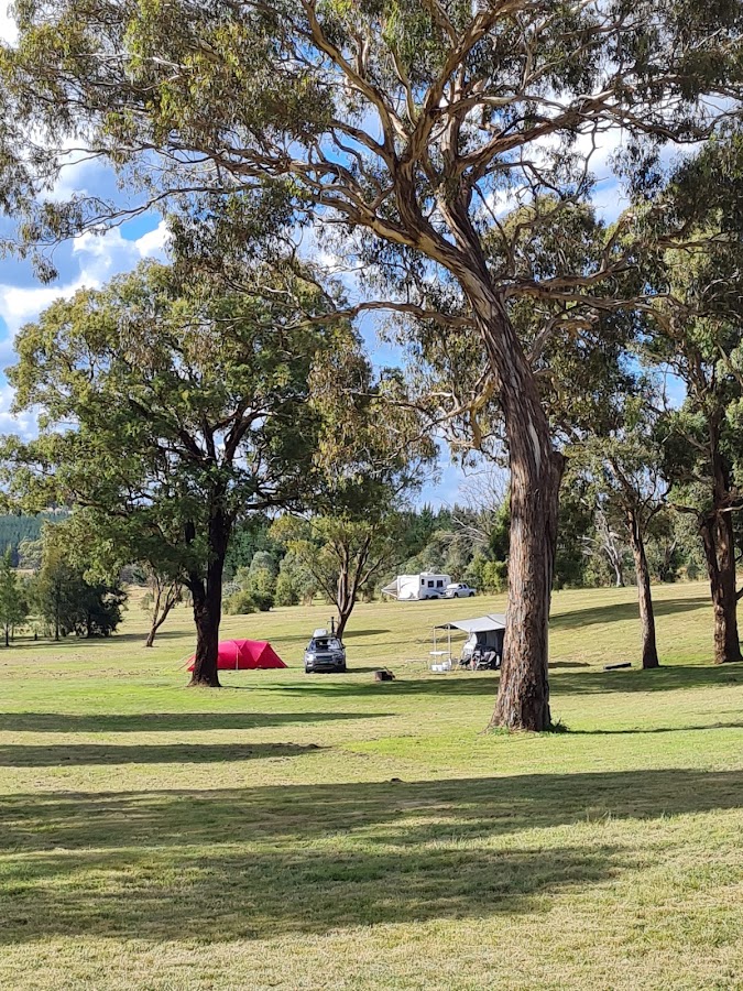 Free Camping spot - open field in woodland