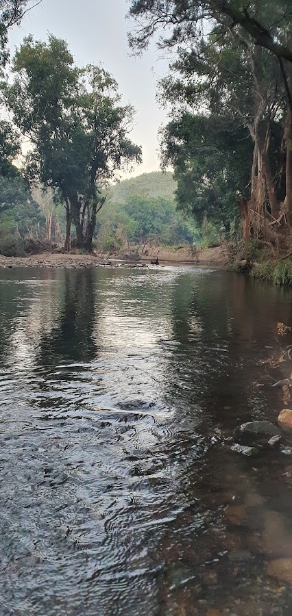 Bush Campsite 3