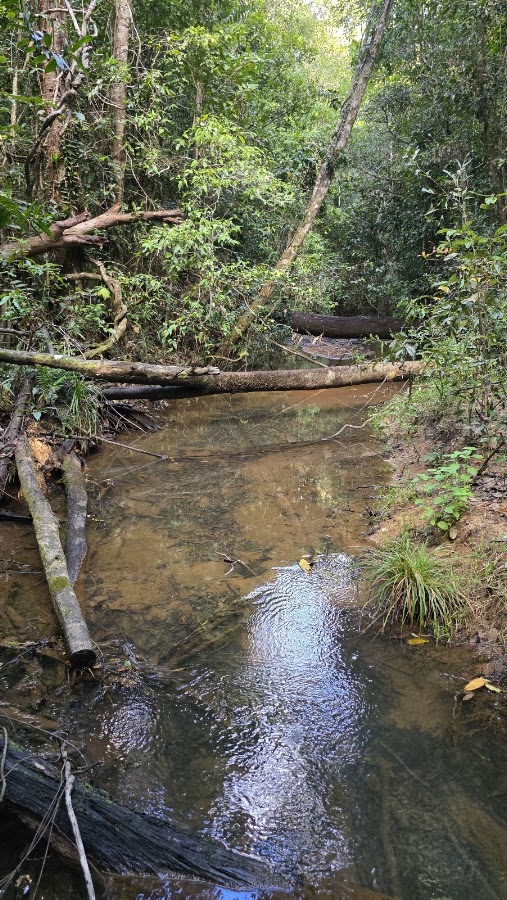 Kirrama National Park