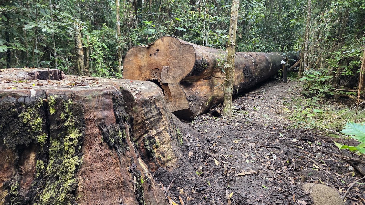 Kirrama National Park