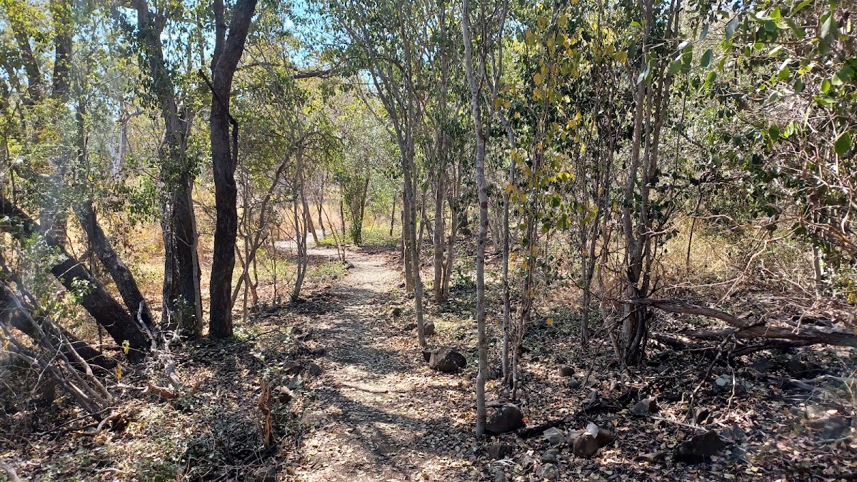 Mount Scoria Conservation Park