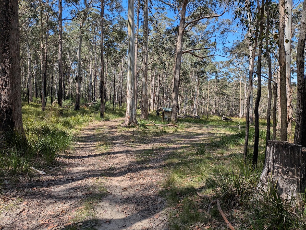 Butterleaf National Park