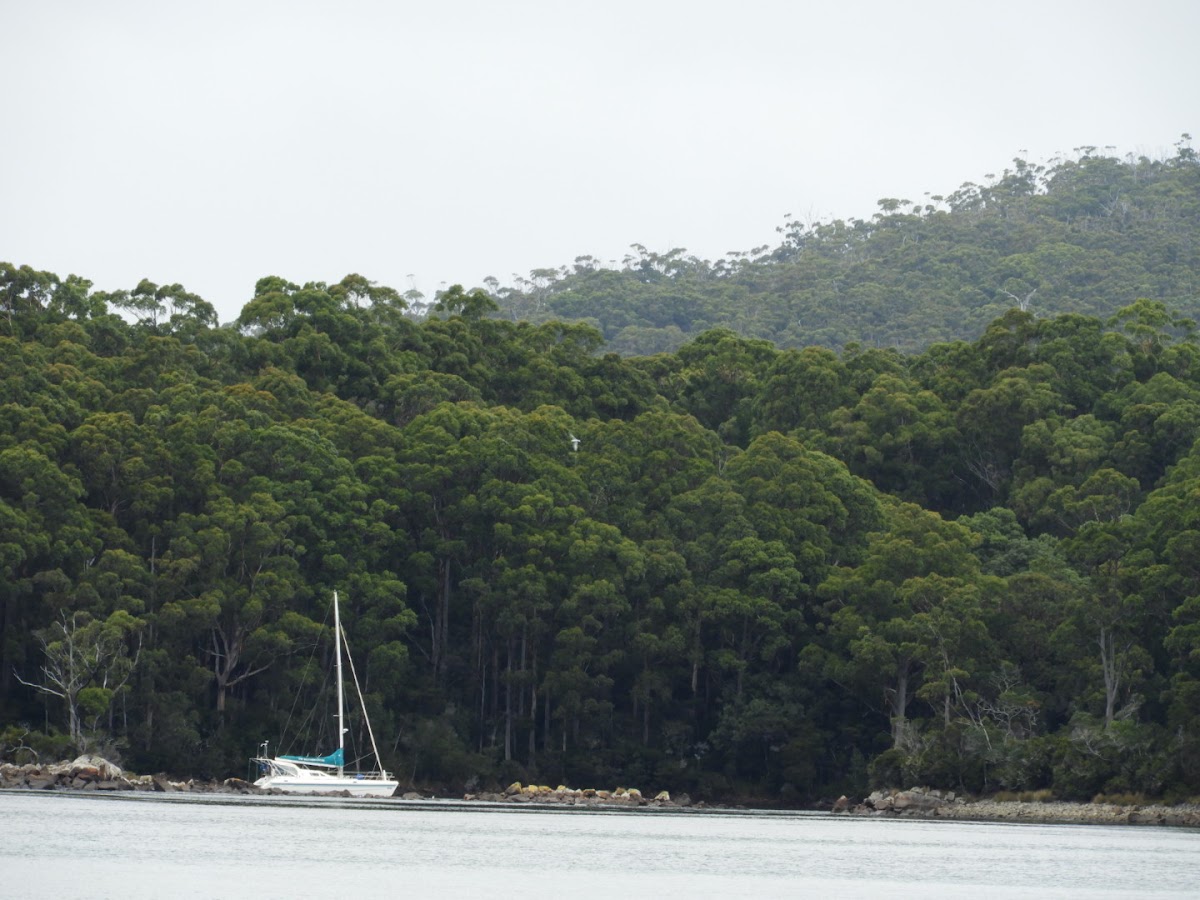 Gillams Beach