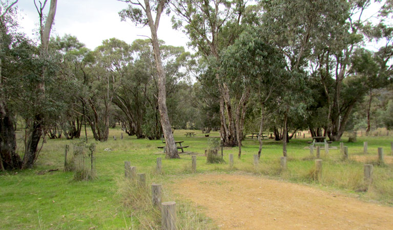 Ben Halls Campground