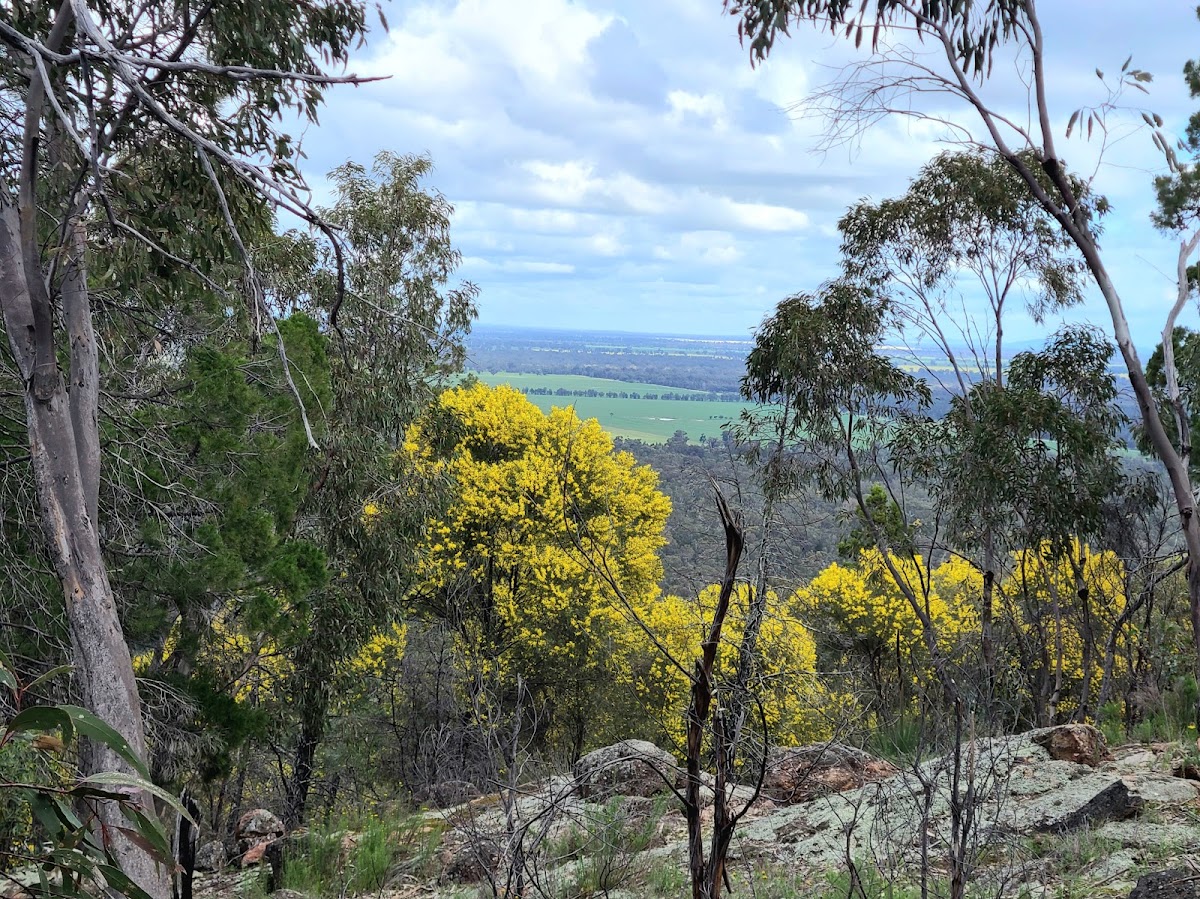 Ben Halls Campground