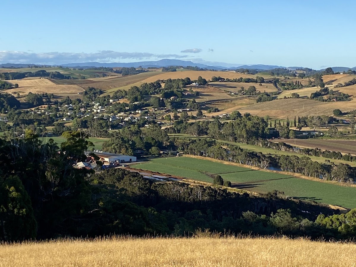 Henry Buxton Lookout