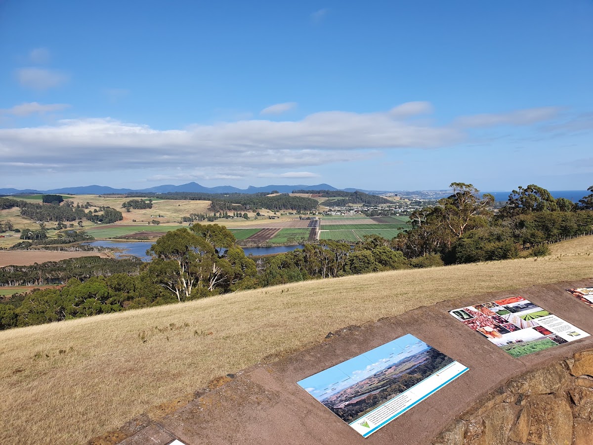 Henry Buxton Lookout
