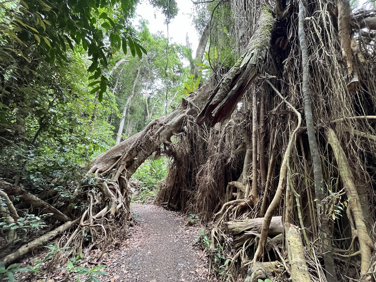 Crater Lakes National Park