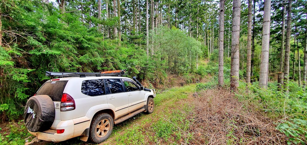 Wongaloo Conservation Park