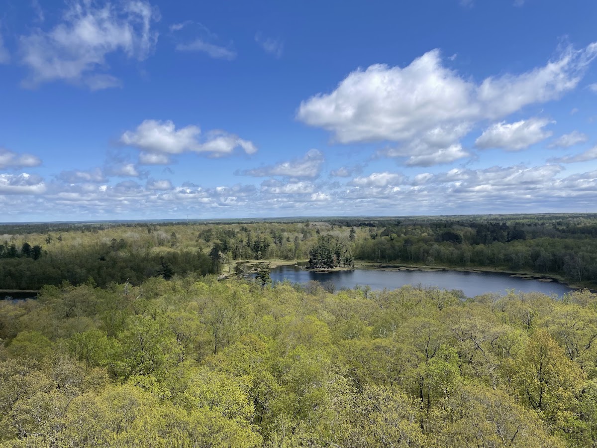 Headwaters Lookout