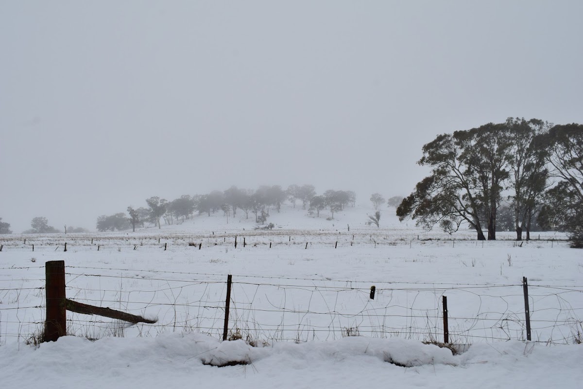 Ben Lomond Recreation Reserve
