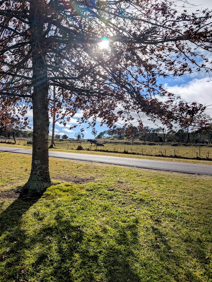 Ben Lomond Recreation Reserve