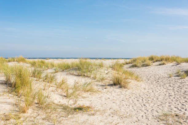 Sandy Beach