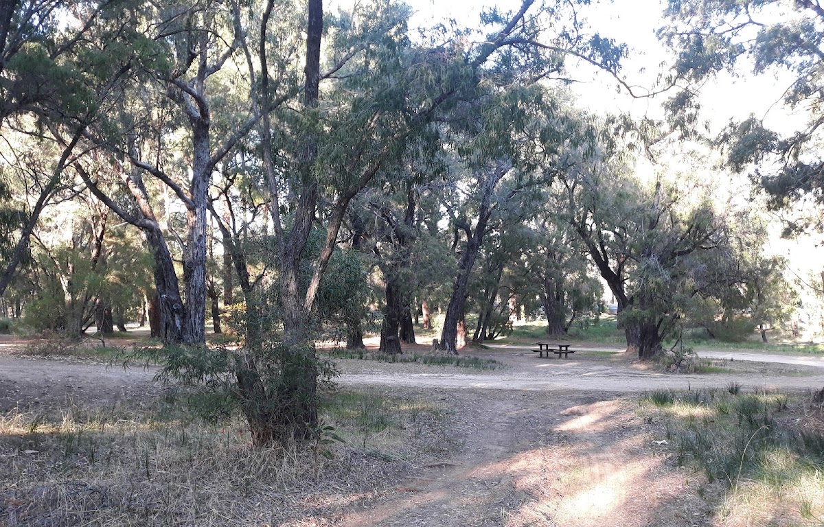 Wagerup Rest Area