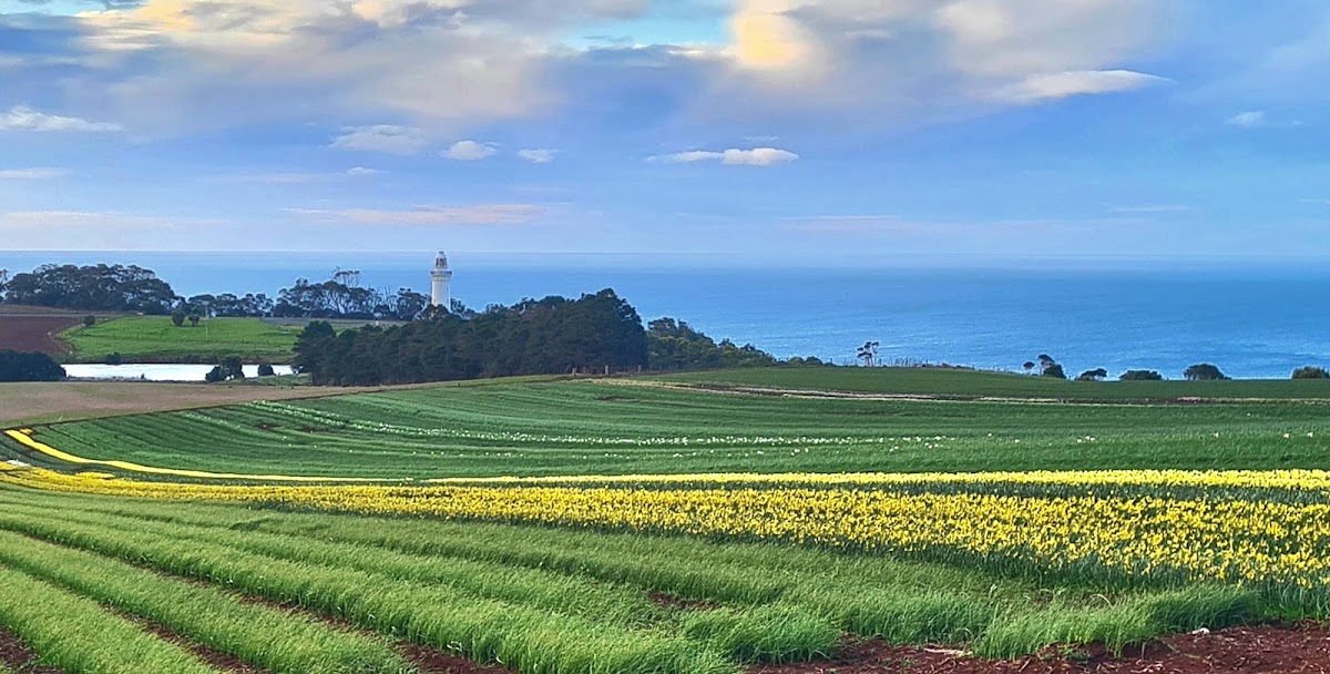Table Cape Lookout