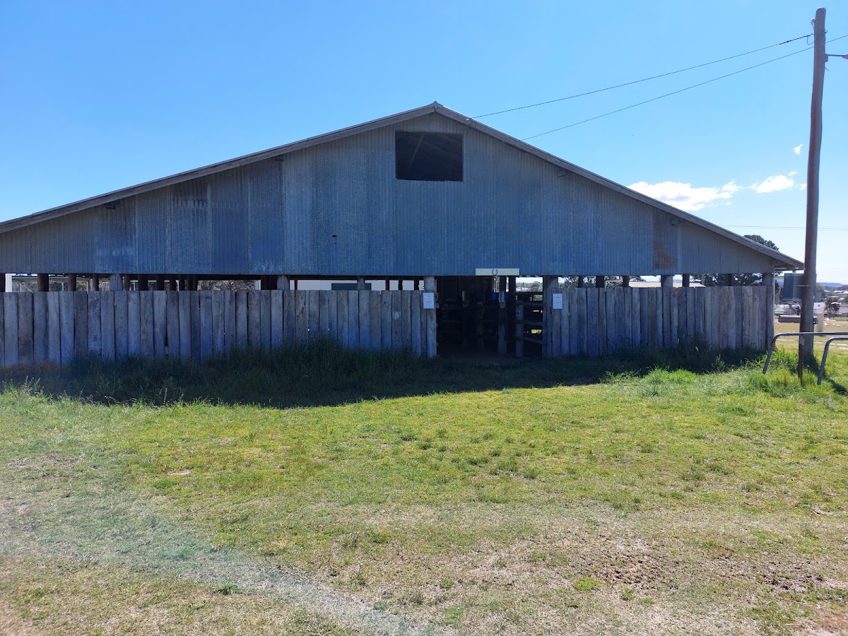 Uralla Showground Camping
